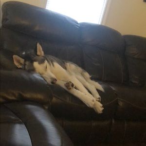 Meet your Posher, Norma